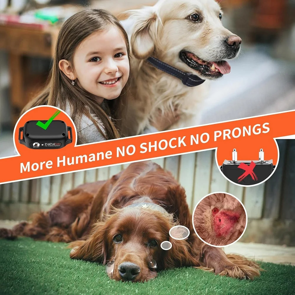 Dog Training Collar – Safe & Effective Control