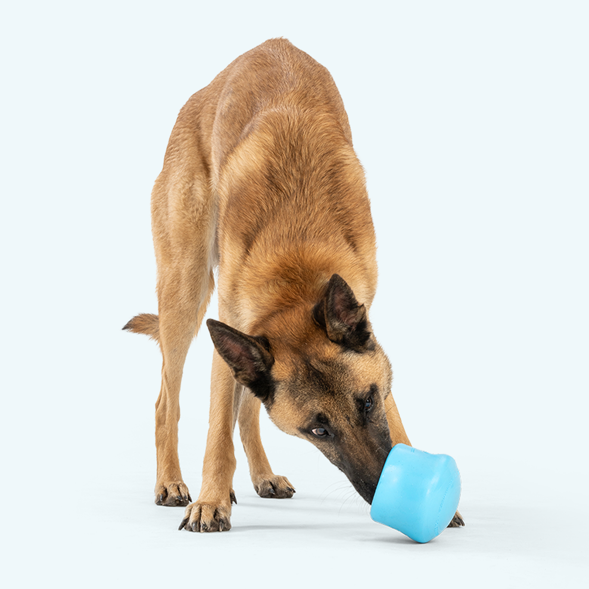 Toppl Dog Treat Puzzle Toy product image