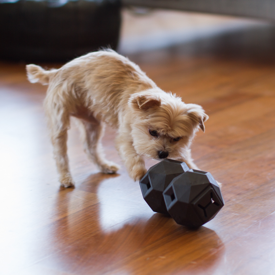 Odin Treat Dispensing Dog Toy product image