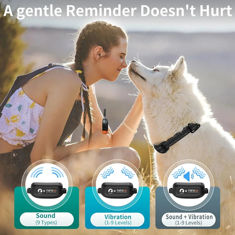 Dog Training Collar – Safe & Effective Control