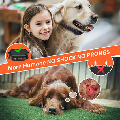 Dog Training Collar – Safe & Effective Control