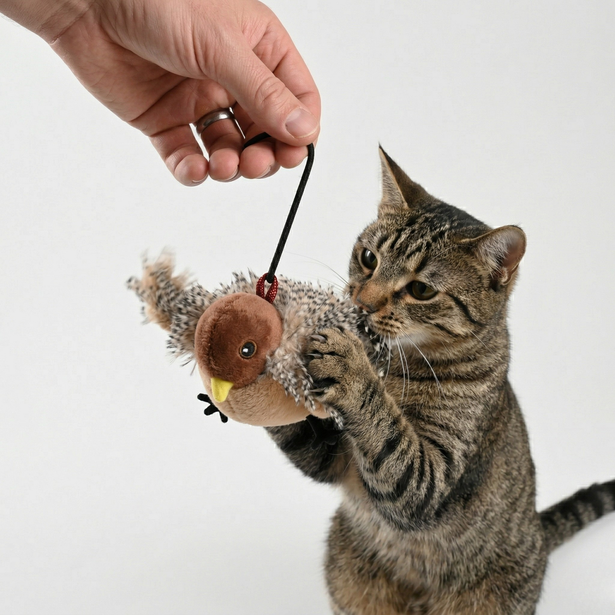 Flapping Bird Interactive Cat Toy