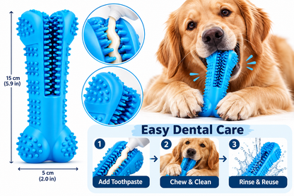 Soft Rubber Dog Toothbrush dimensions and easy dental care guide